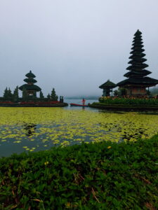 A misty morning view of the Pura Ulun Danu Bratan Hindu temple on Lake Bratan, Bali. A small boat is on the water surrounded by green lily pads and the temple's multi-tiered meru towers.